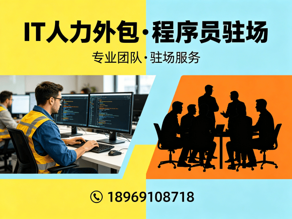 长沙IT人力外包解决方案：破解企业技术人才困境的高效路径