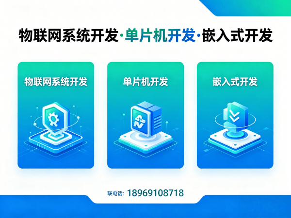 泉州Raspberry Pi开发解决方案：物联网单片机智能硬件开发的高效路径