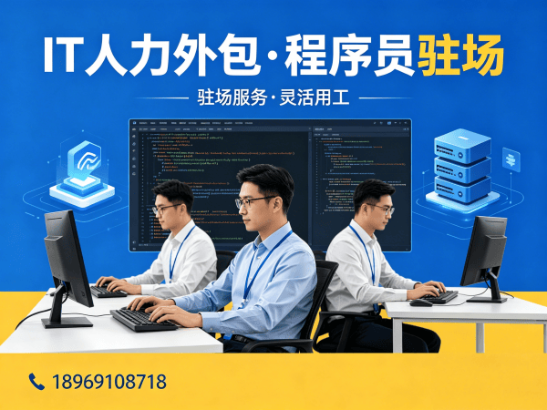 泉州IT人力外包解决方案：解决程序员大数据工程师招聘难题的高效路径